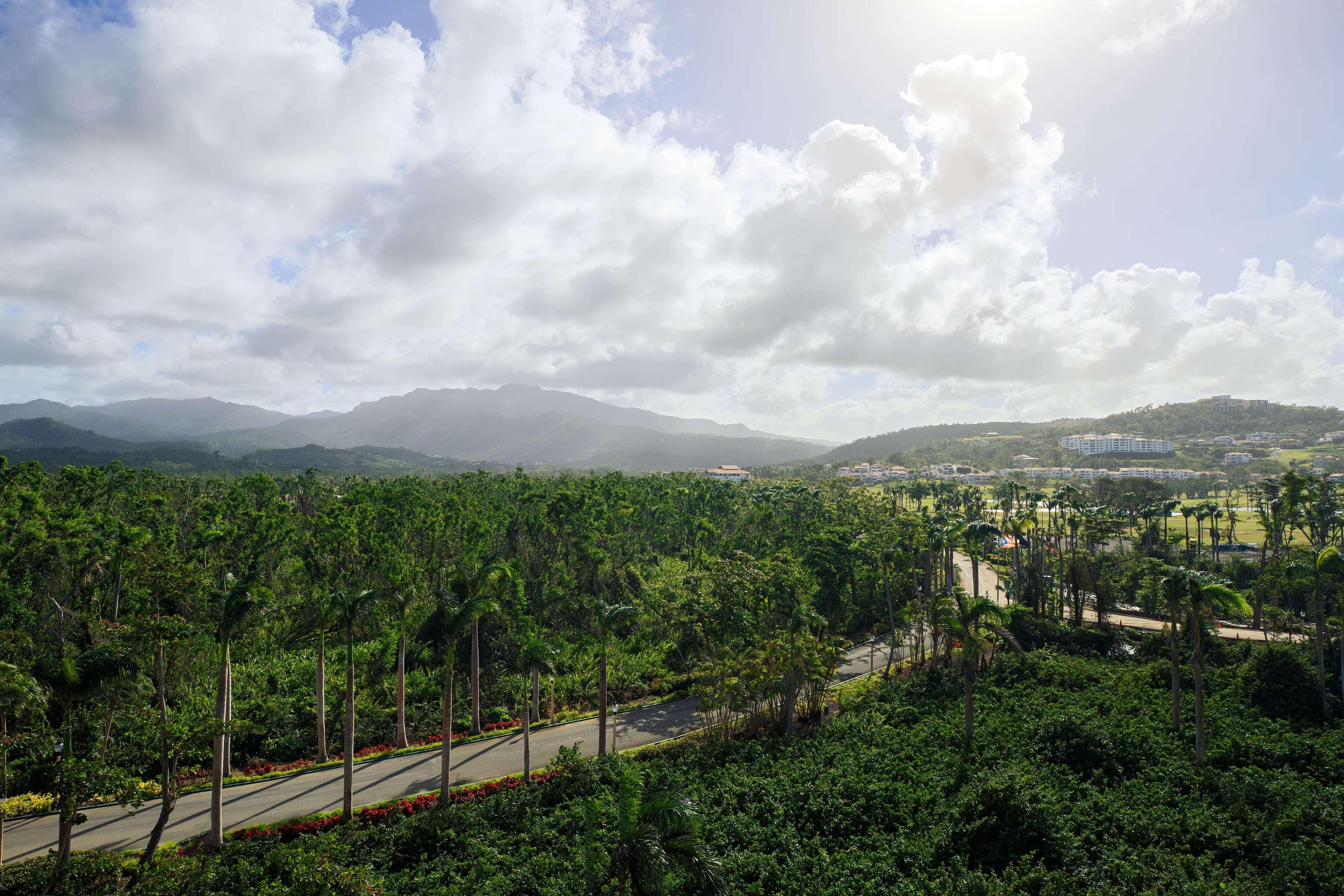 Wyndham Grand Rio Mar Rainforest Beach And Golf Resort Рио-Гранде Экстерьер фото