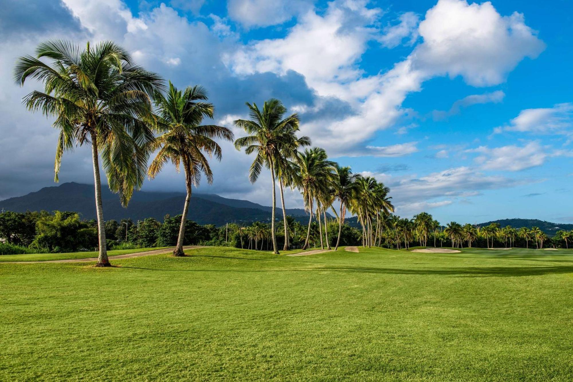 Wyndham Grand Rio Mar Rainforest Beach And Golf Resort Рио-Гранде Экстерьер фото